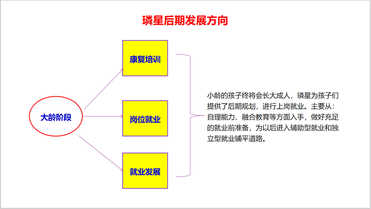 璘星自闭症大龄发展方向