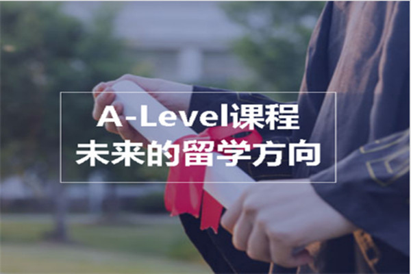 锦秋A-Level互补计划A