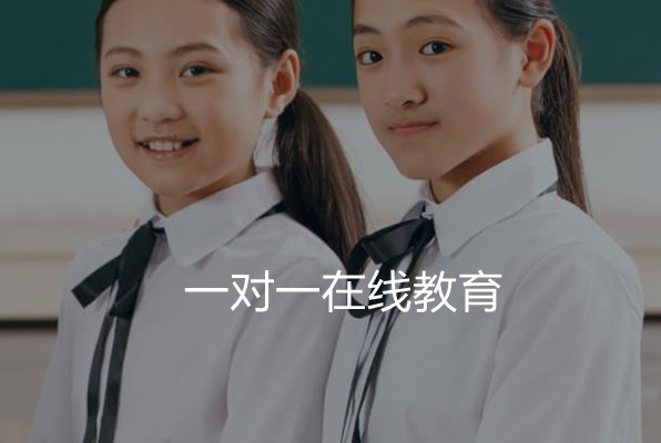 高中数学一对一辅导