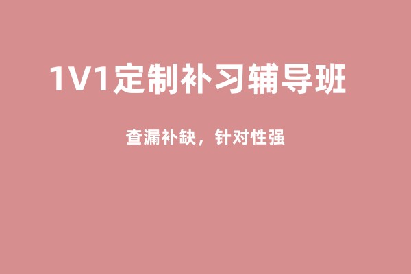 1V1定制补习辅导班